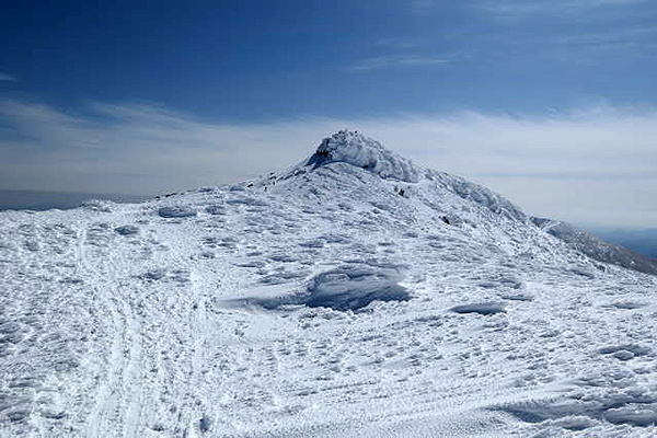 200323a.jpg