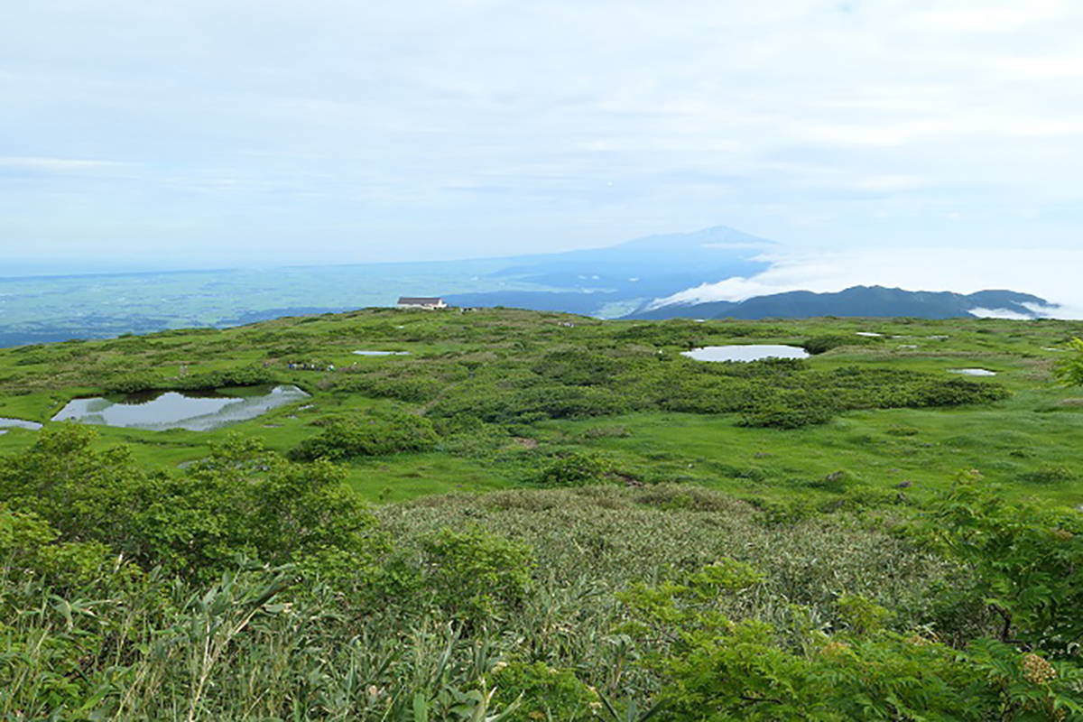 190722d.jpg